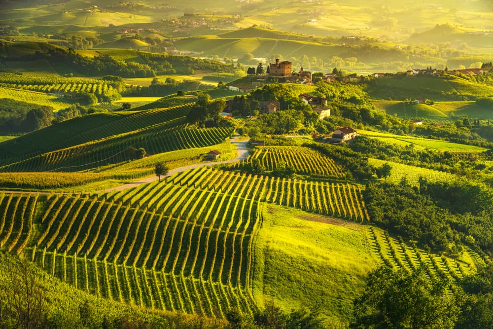 Piedmont